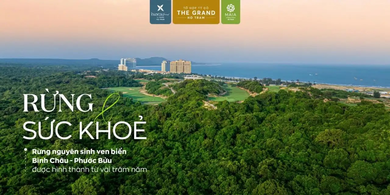 Đánh Giá Vị Trí The Grand Hồ Tràm: Tọa Độ "Rừng Vàng Biển Bạc" Độc Bản Miền Nam